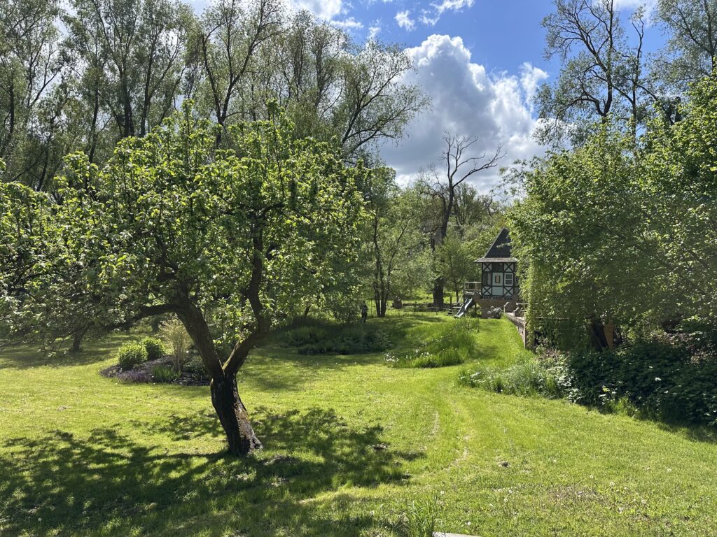 C_IMG_8008_Garten