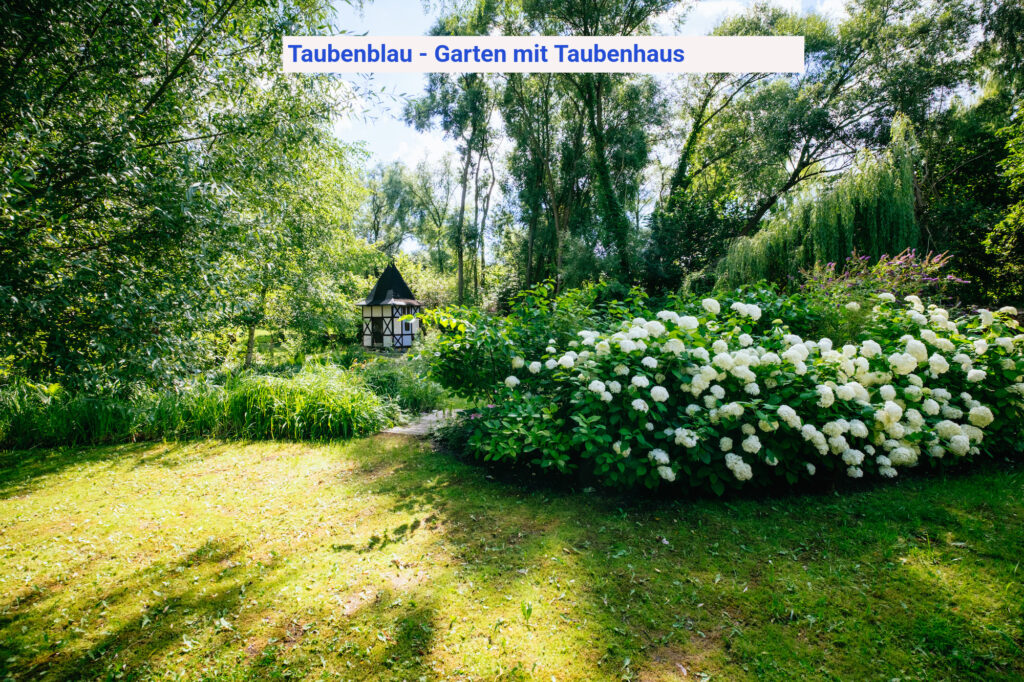 Kopie von Taubenblau Garten mit Taubenhaus