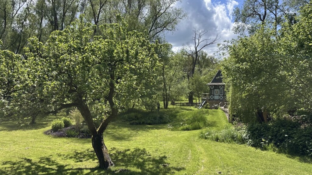 C_IMG_8008_Garten-1024x768